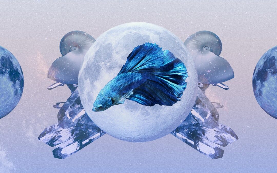 Pisces Monthly Horoscope for June 2023 — Read Your Sign’s Love and Career Predictions