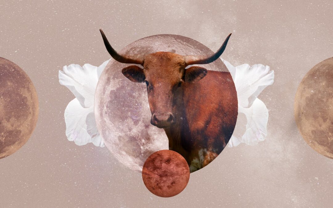 Taurus Monthly Horoscope for June 2023 — Read Your Sign’s Love and Career Predictions