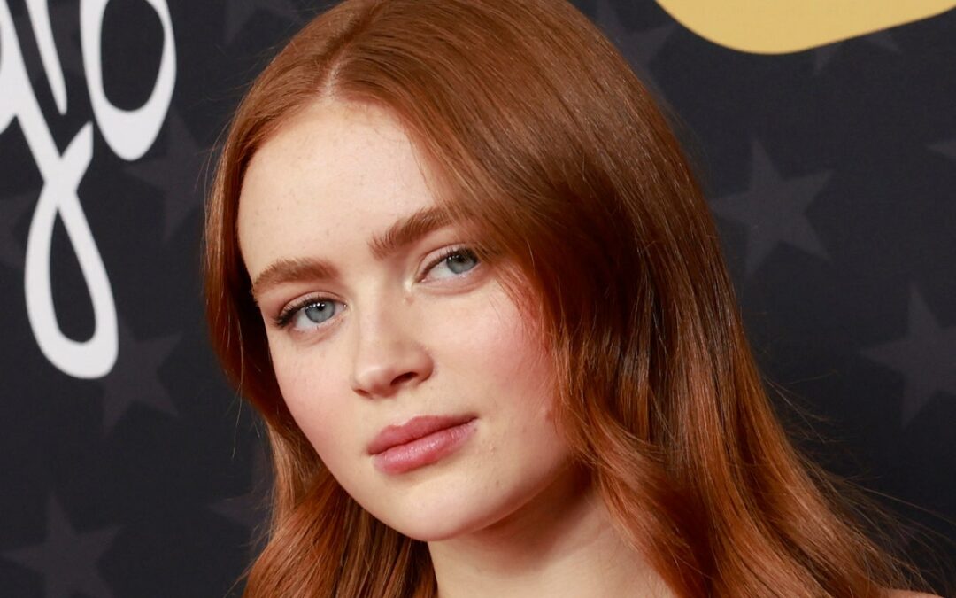 Sadie Sink Chopped Her Long Hair Off Into a Bob — See Photo